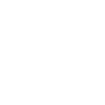 logo_pigsfly