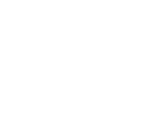 logo_pigsfly