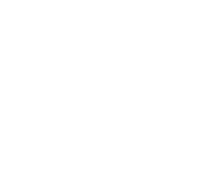 logo_pigsfly