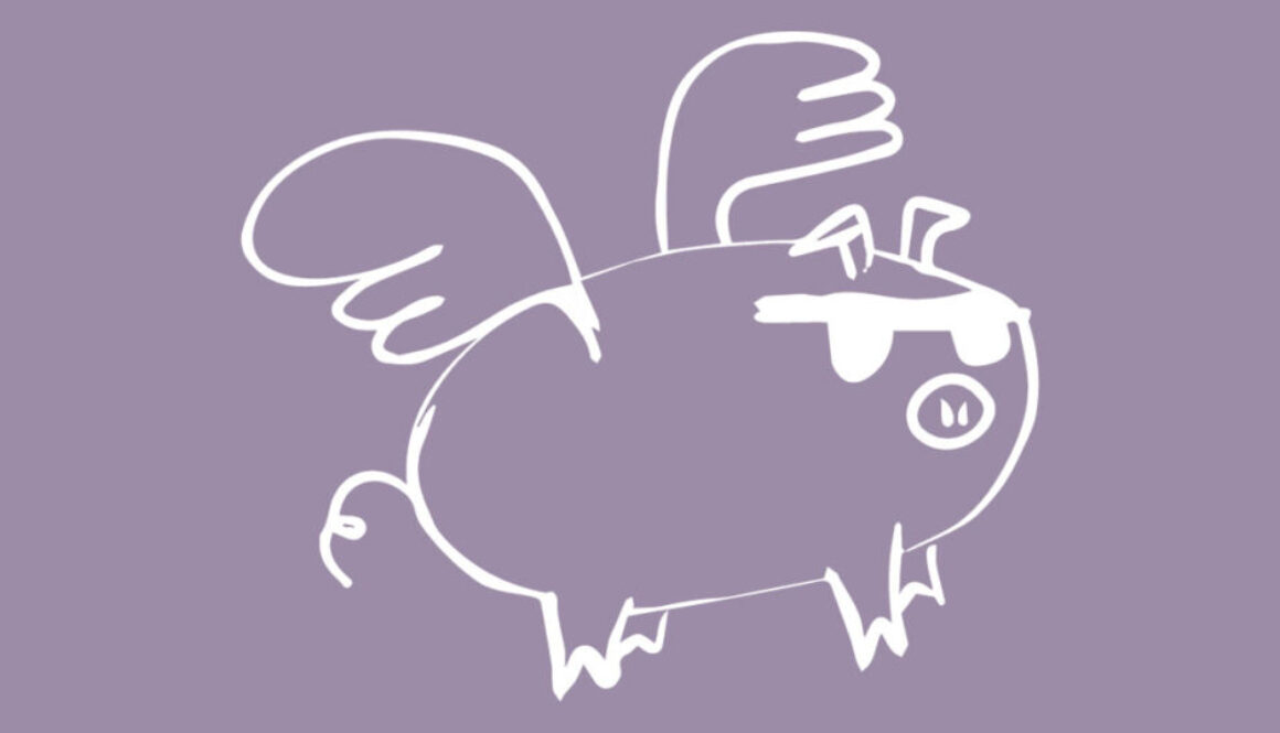 Carson the Pig